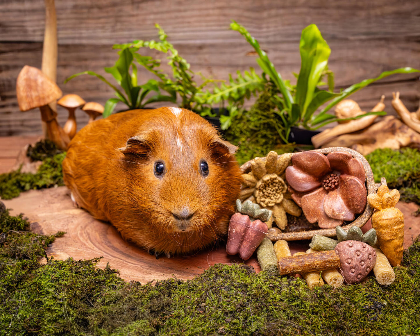 Small Animal Treat - Vegetables 3pc