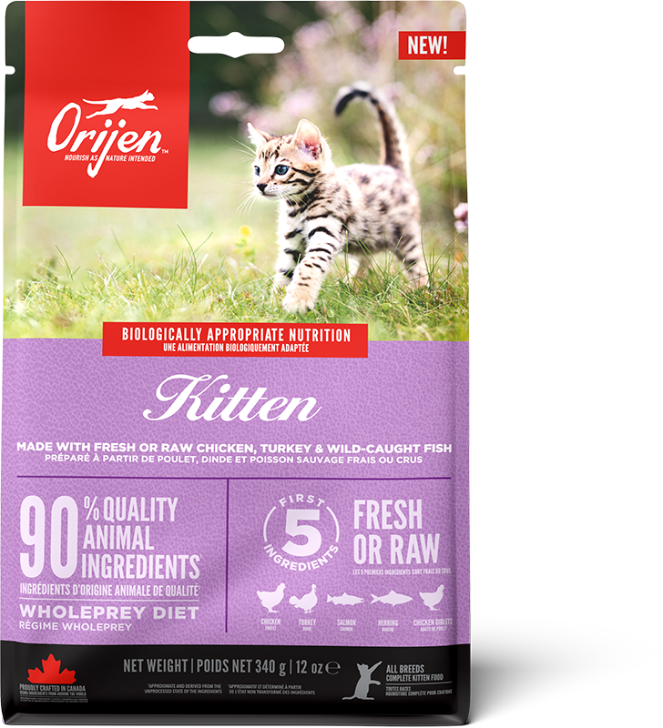 Orijen Kitten 340gm
