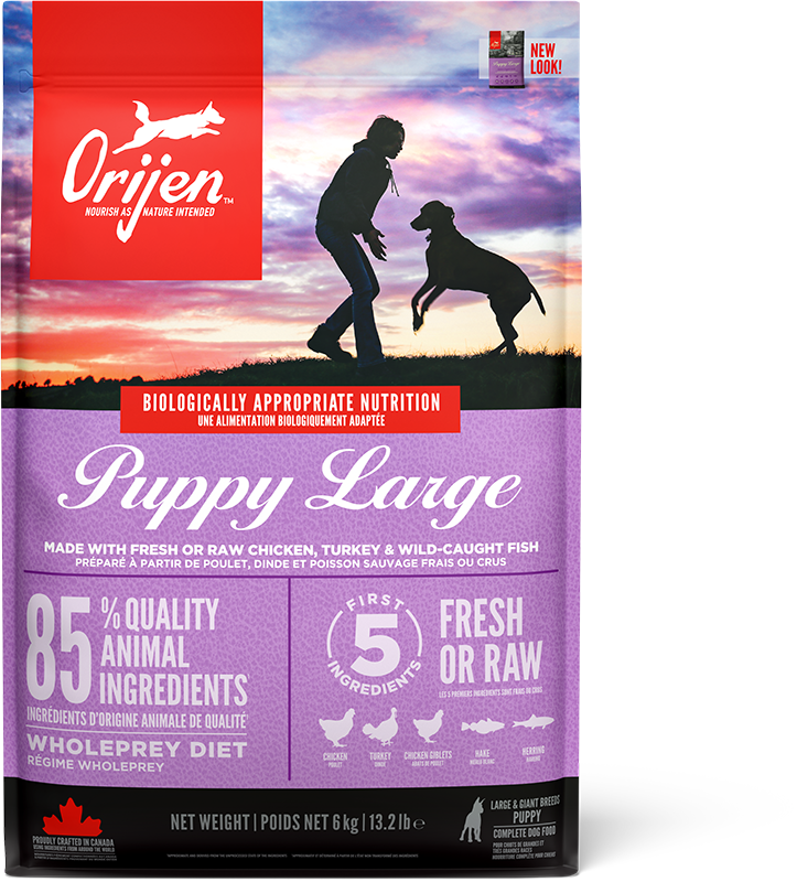 Orijen Large Breed Puppy 6kg