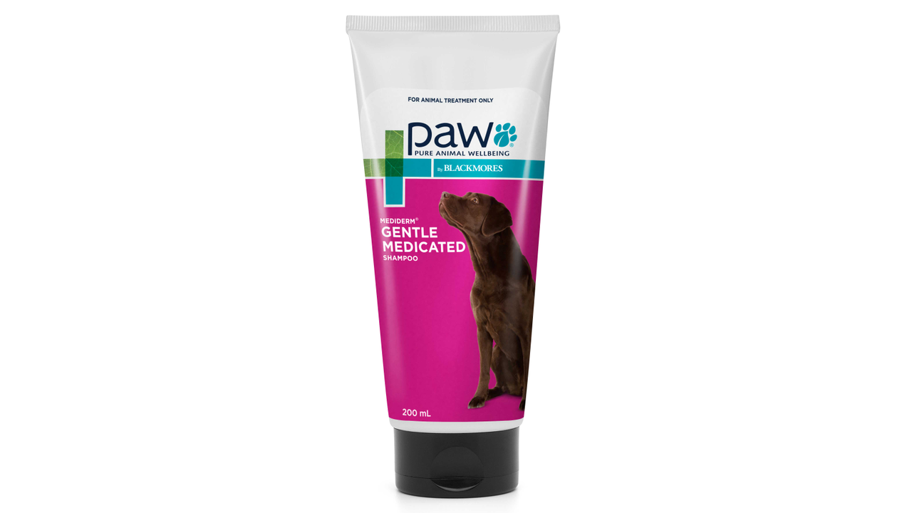 MediDerm Shampoo