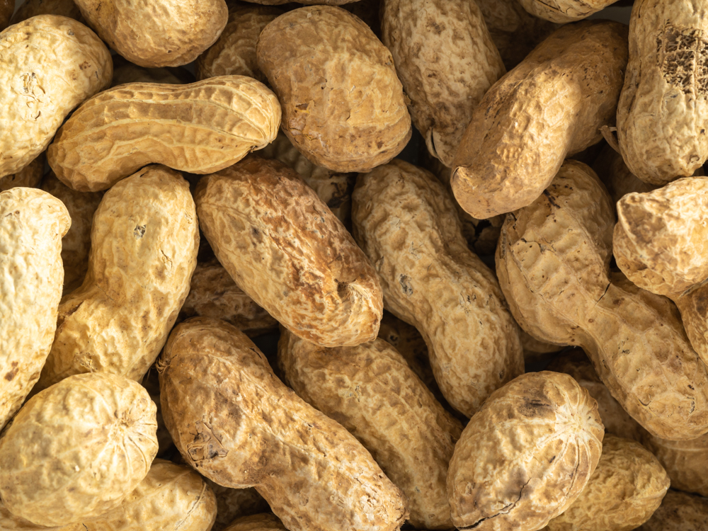 Peanuts in Shell - 250g