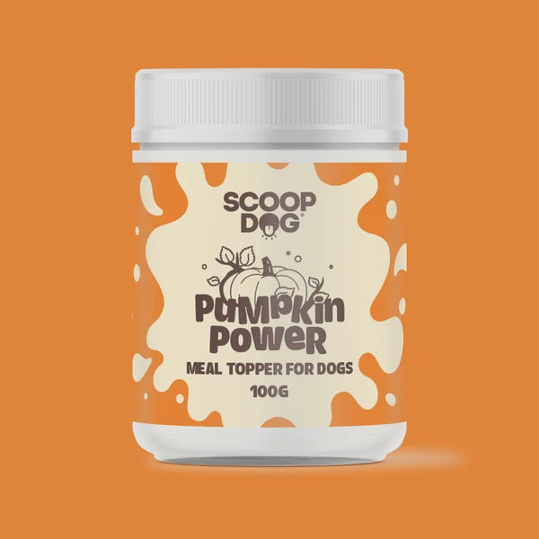 Pumpkin Power Topper