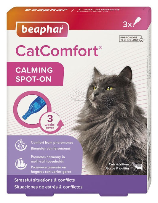 Catcomfort Spot on 3x