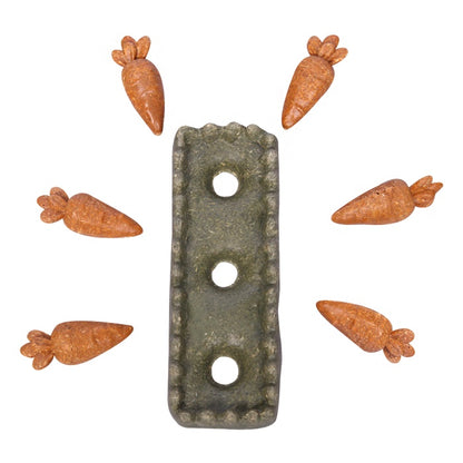 Small Animal Enrichment Treat - Carrot Patch 7pc