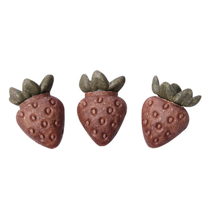 Small Animal Treats - Strawberries 3pc