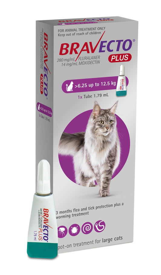 Bravecto Plus Cat