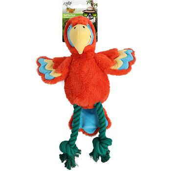 AFP Safari - Jungle Parrot