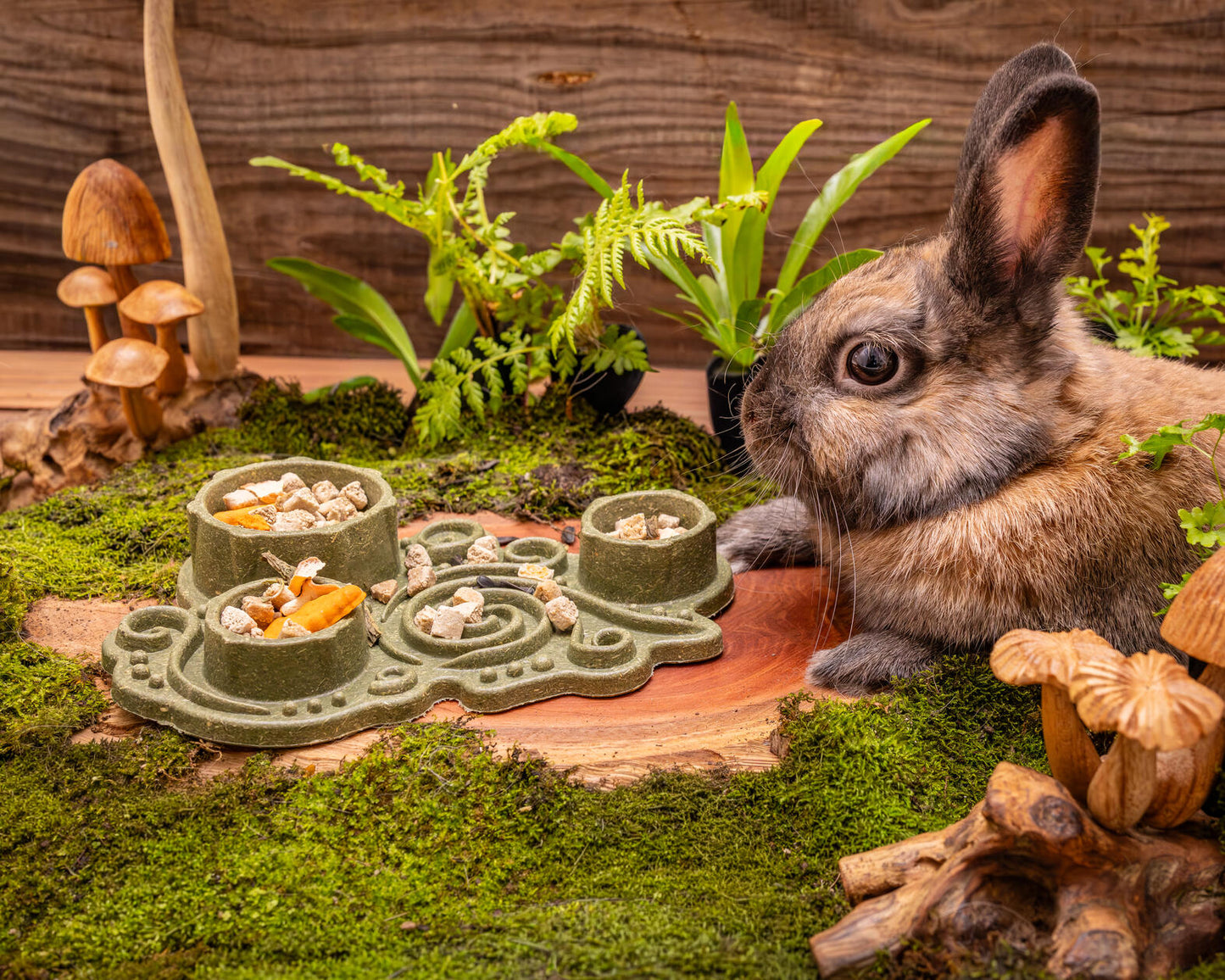 Small Animal Enrichment Treat - Puzzle Feeder