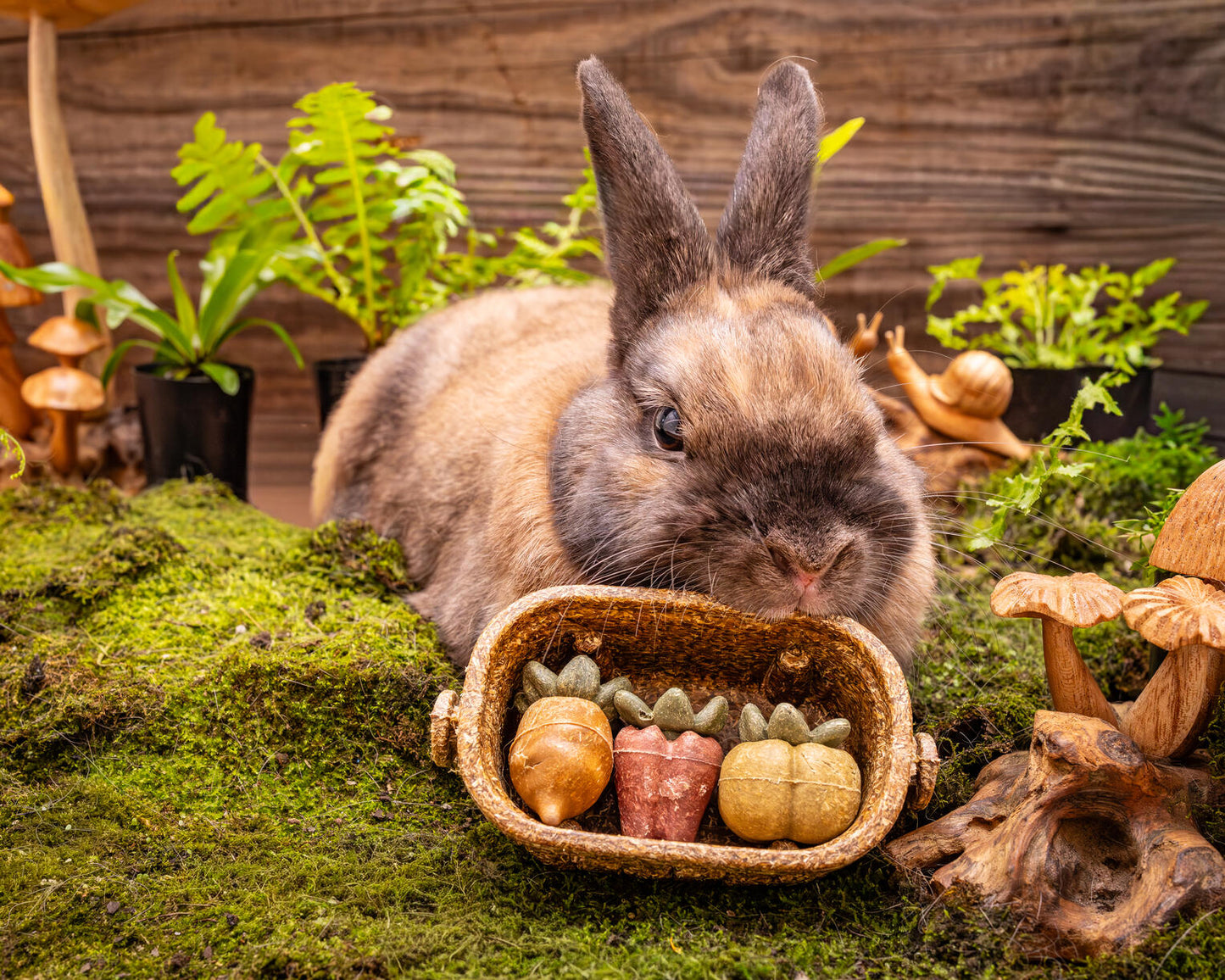 Small Animal Treat - Vegetable Basket