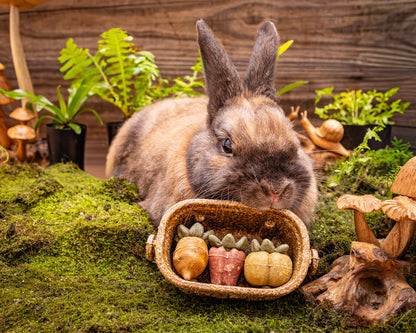 Small Animal Treat - Vegetable Basket