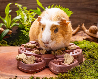 Small Animal Treat Butterfly Feeder