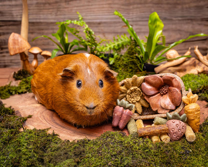 Small Animal Treat - Vegetables 3pc