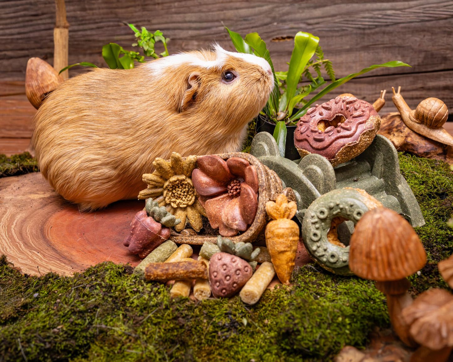 Small Animal Treat - Vegetables 3pc