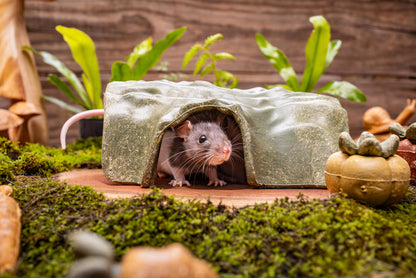 Small Animal Enrichment Treat - Log Hidehout
