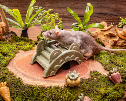 Small Animal Treat - Arch Bridge 14x8x6cm