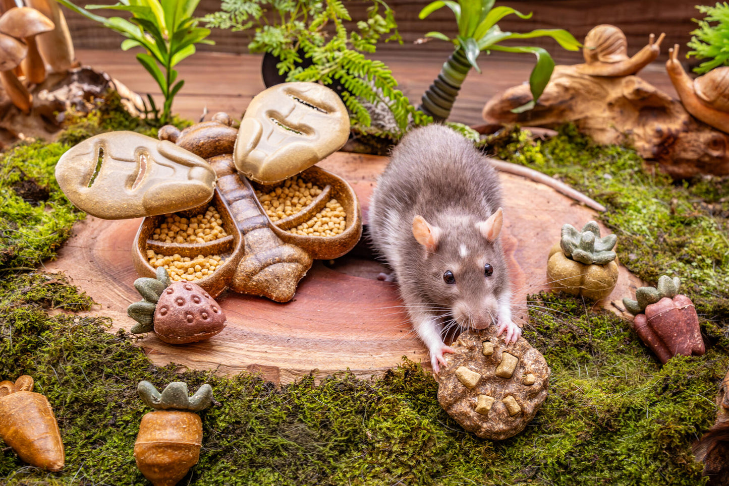 Small Animal Treat - Cookies Small 4pc