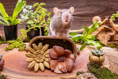 Small Animal Treat - Flower Basket