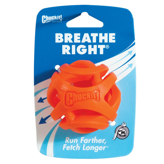 Air Fetch Ball