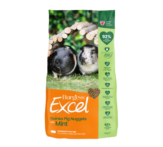 Burgess Excel Guinea Pig