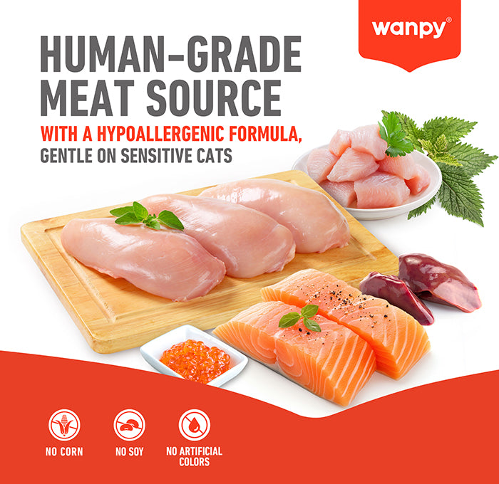 Wanpy Crunchy Pocket Salmon & Roe Recipe - 60g