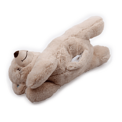 AFP Little Buddy - Warm Bear