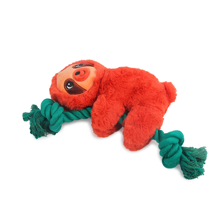 AFP Safari - Rope Sloth