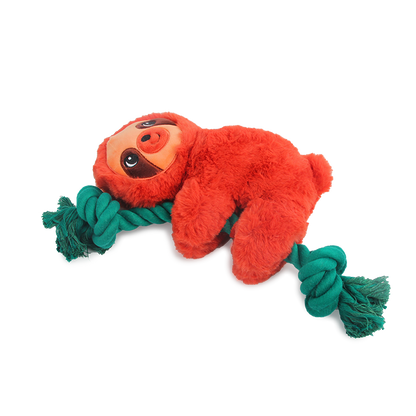 AFP Safari - Rope Sloth