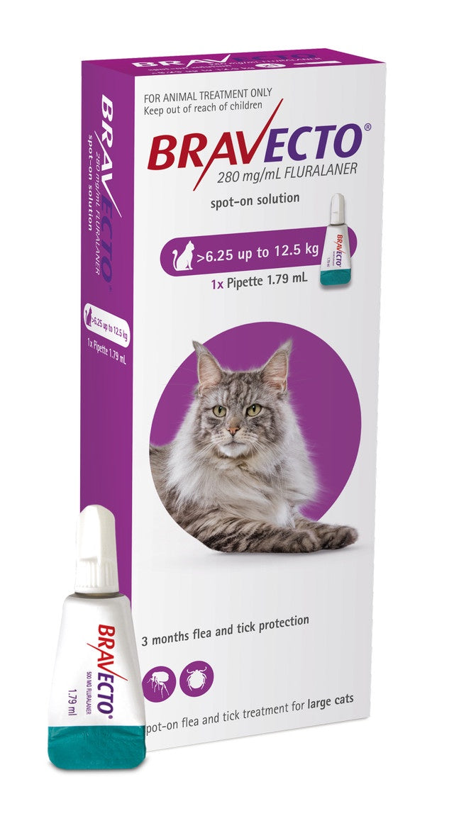 Bravecto Spot-On Cat