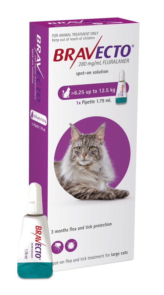 Bravecto Spot-On Cat