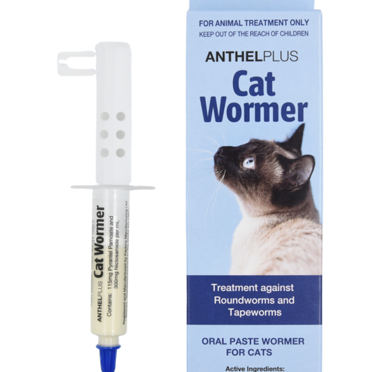 Anthel Cat Wormer Paste 4ml