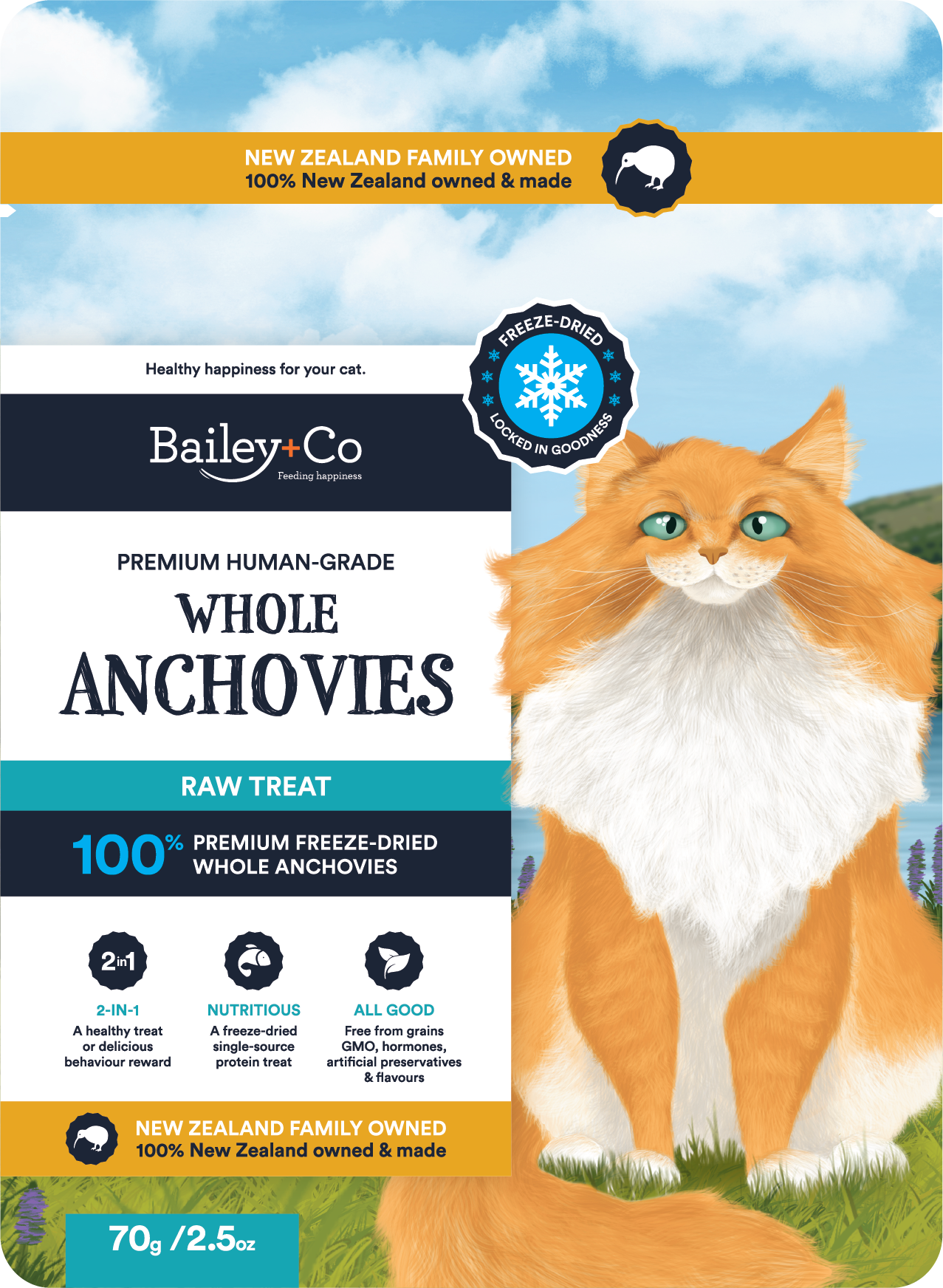 Premium Human grade Anchovy Raw Treat 70g
