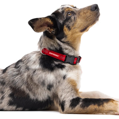 EzyDog Essential Adjustable Collar