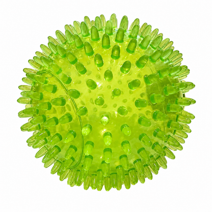 Ruff Play - Spiky Ball