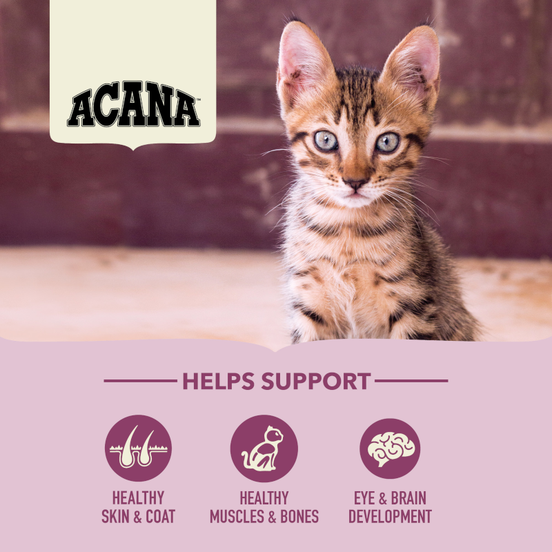 Acana First Feast Cat 1.8