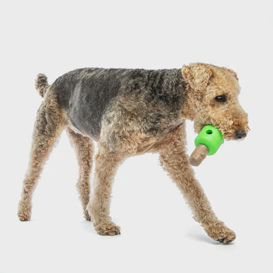 Spin & Treat Large Bone21x8x8cm