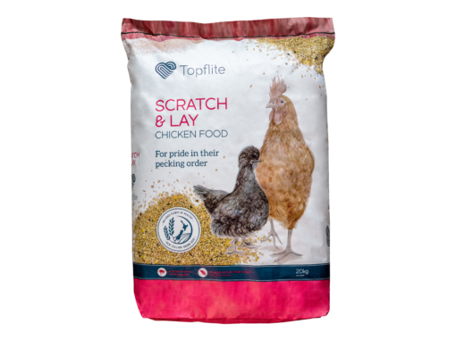 Scratch & Lay 20kgs