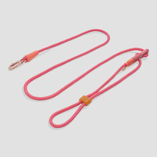 Zee.Dog Hands Free Leash - Gazelle