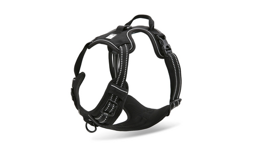 Deluxe Mesh Harness
