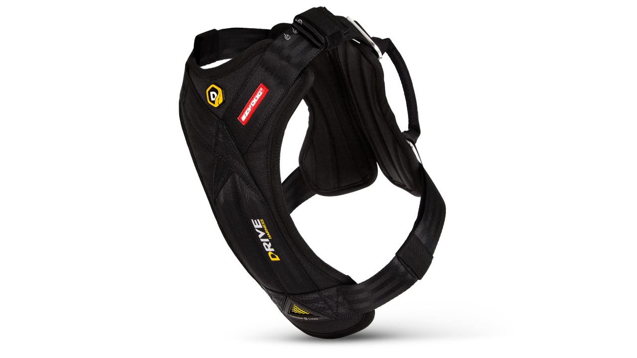 ED Drive Harness L Black
