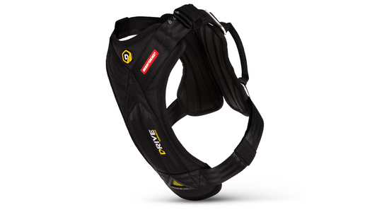 ED Drive Harness L Black