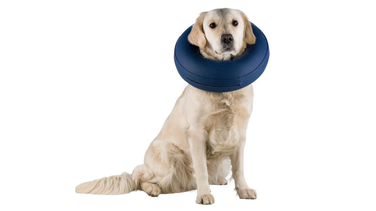 Protective Collar Inflatable S-M 32-40cm