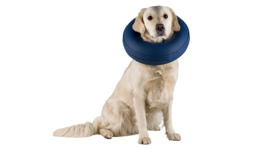 Protective Collar Inflatable M-L 45-57cm