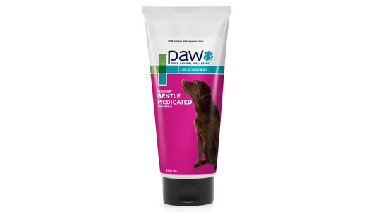MediDerm Shampoo