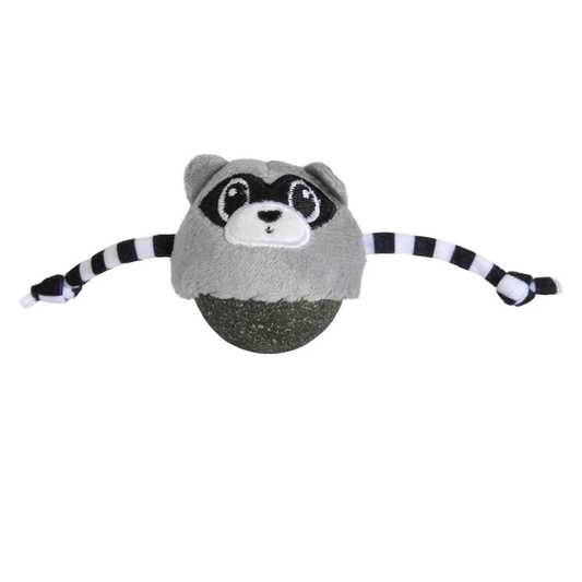 Quirky Kitty Rolly Raccoon Bobbler