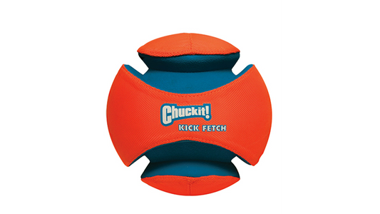Kick Fetch Ball Lge 19cm