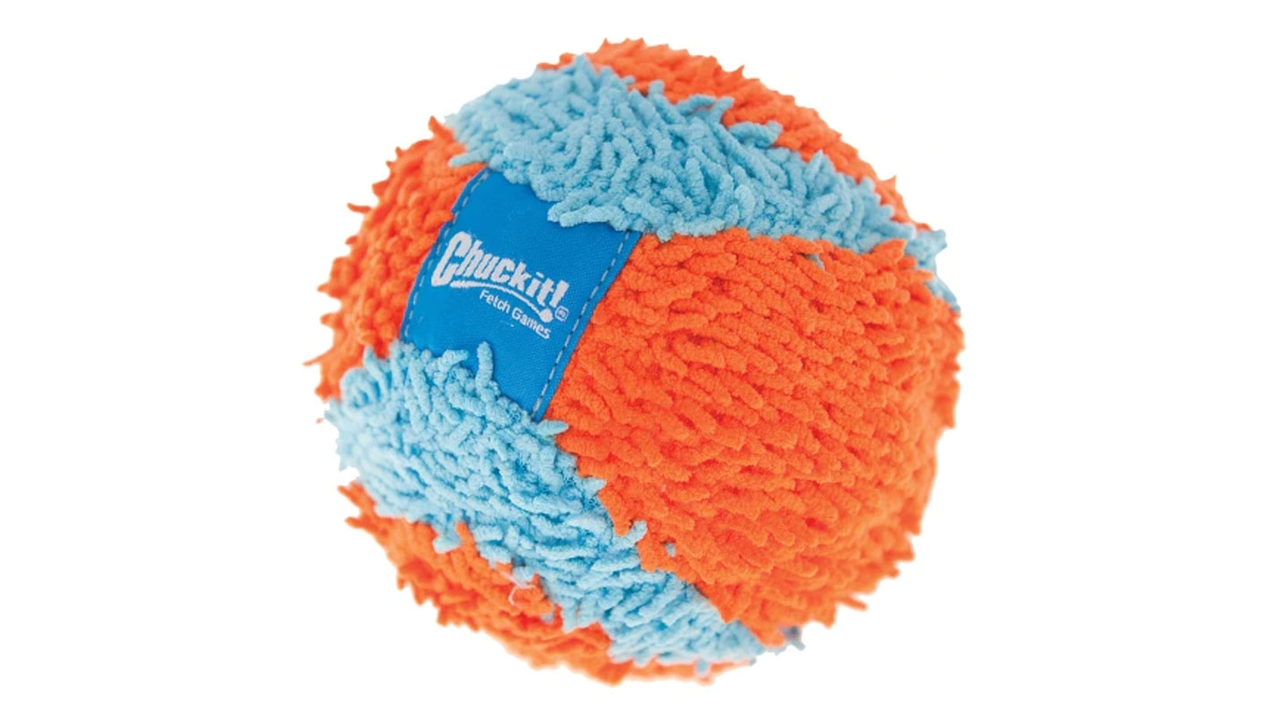 Chuckit! Indoor Ball