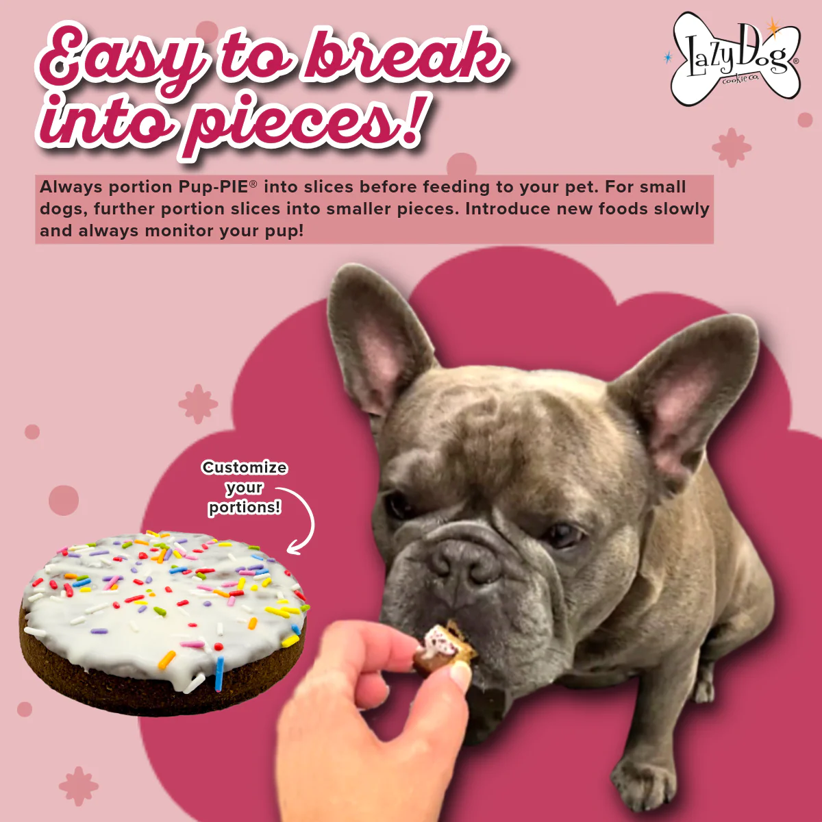 Lazy Dog Pup-PIE Happy Birthday