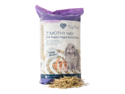 Timothy Hay