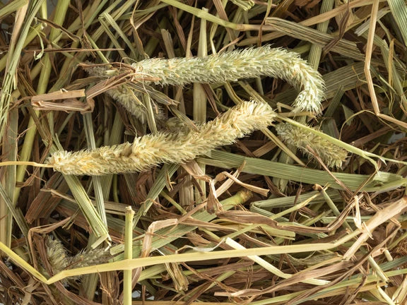 Topflite Timothy Hay 4.5kg