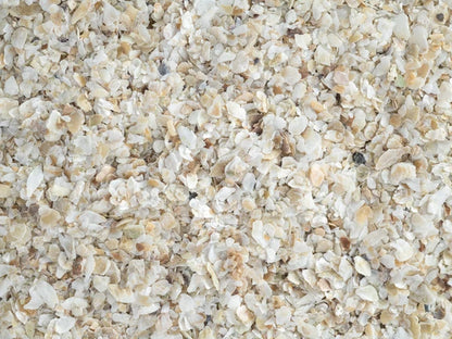 Fine Grit 5kg